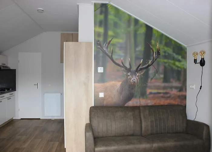 De Bijsselse Enk, Noors 12 *